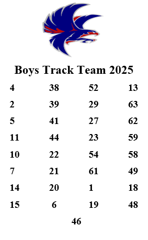 Boys Track Team 2024-25